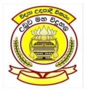 Schoo Logo
